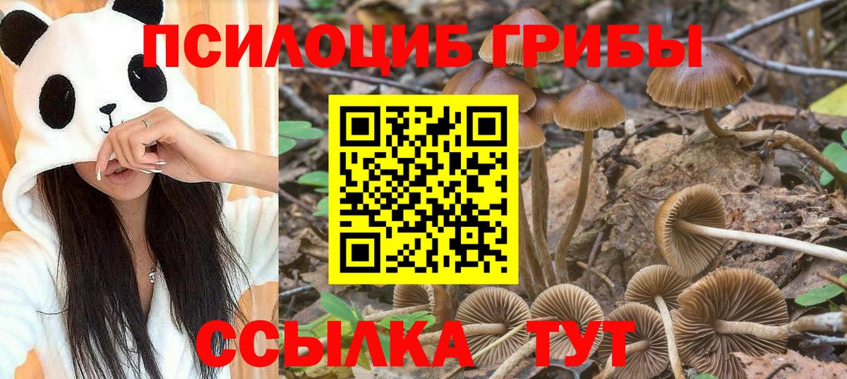 Галлюциногенные грибы ЛСД Ртищево